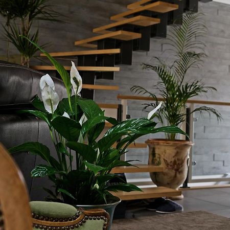Superbe Appartement Au Coeur Du Jura Champagnole Bagian luar foto