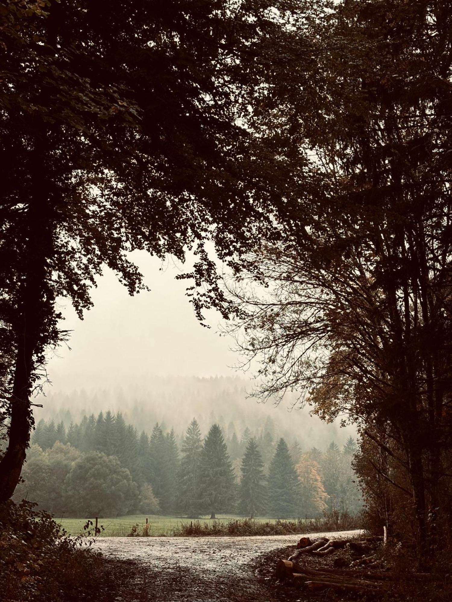 Superbe Appartement Au Coeur Du Jura Champagnole Bagian luar foto